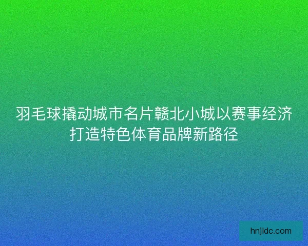 羽毛球撬动城市名片赣北小城以赛事经济打造特色体育品牌新路径